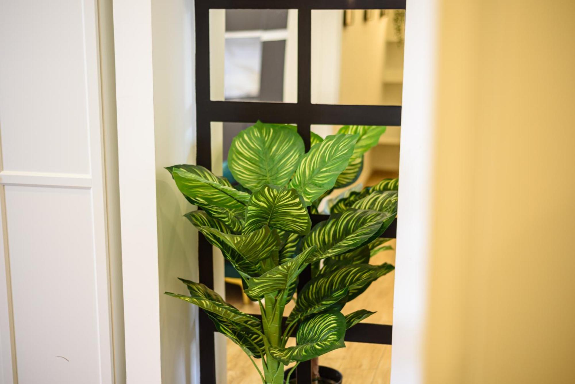 Apartment Luxury In Naples