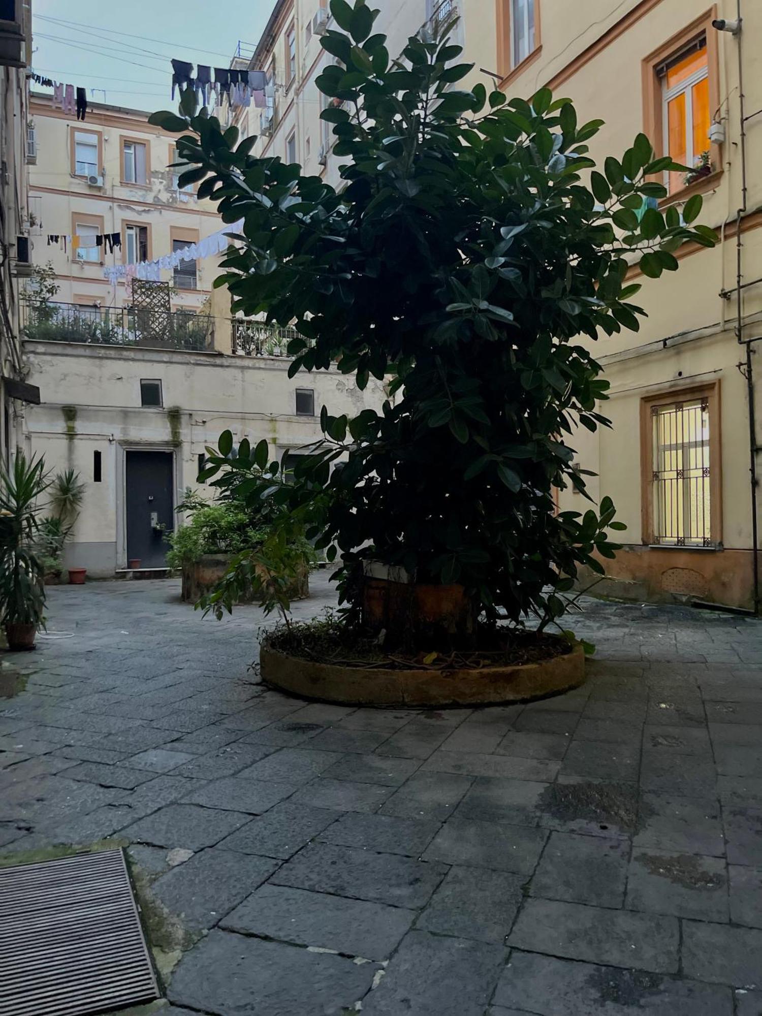 Momarooms * Naples