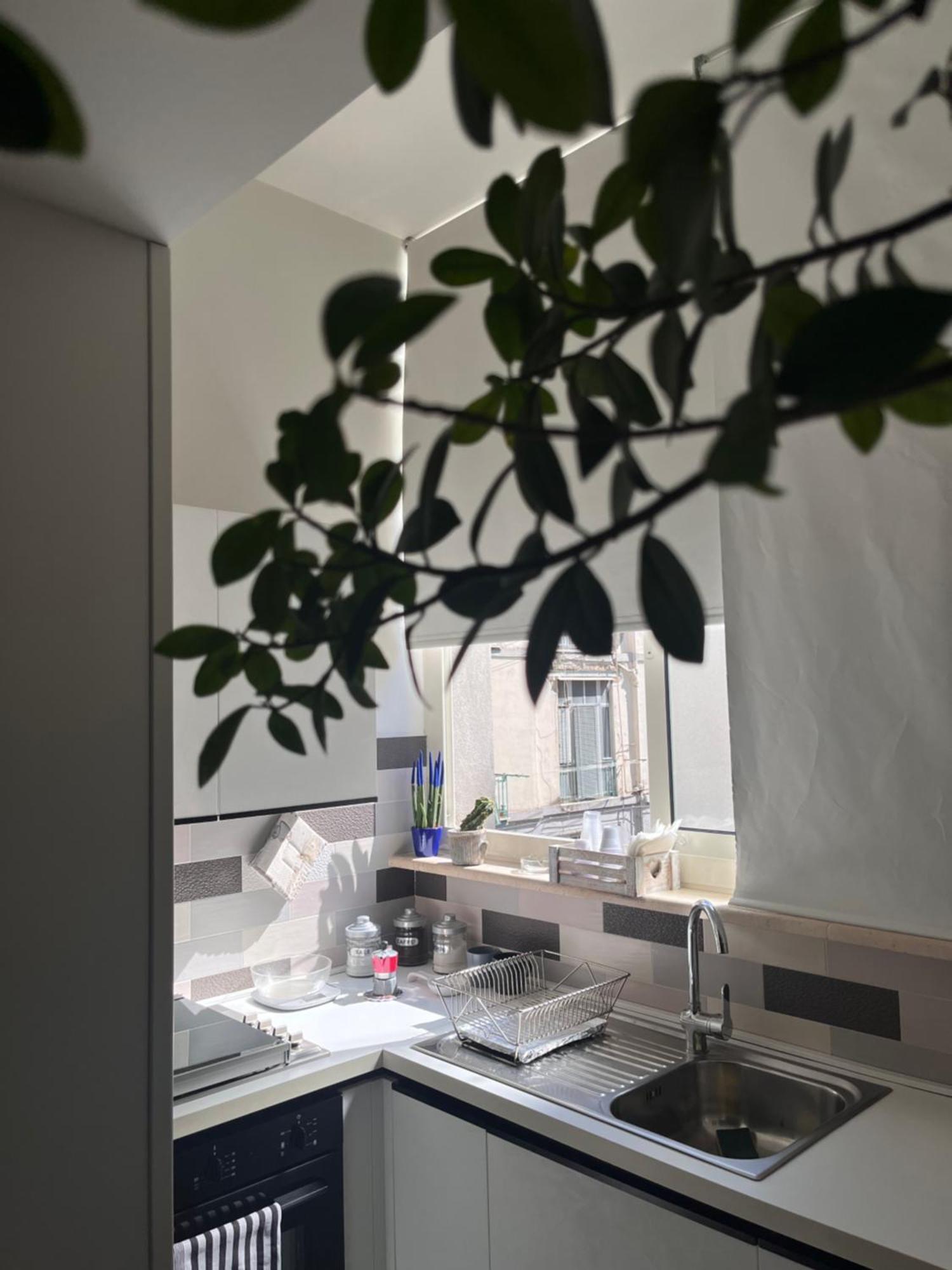 Il Loft Apartment *