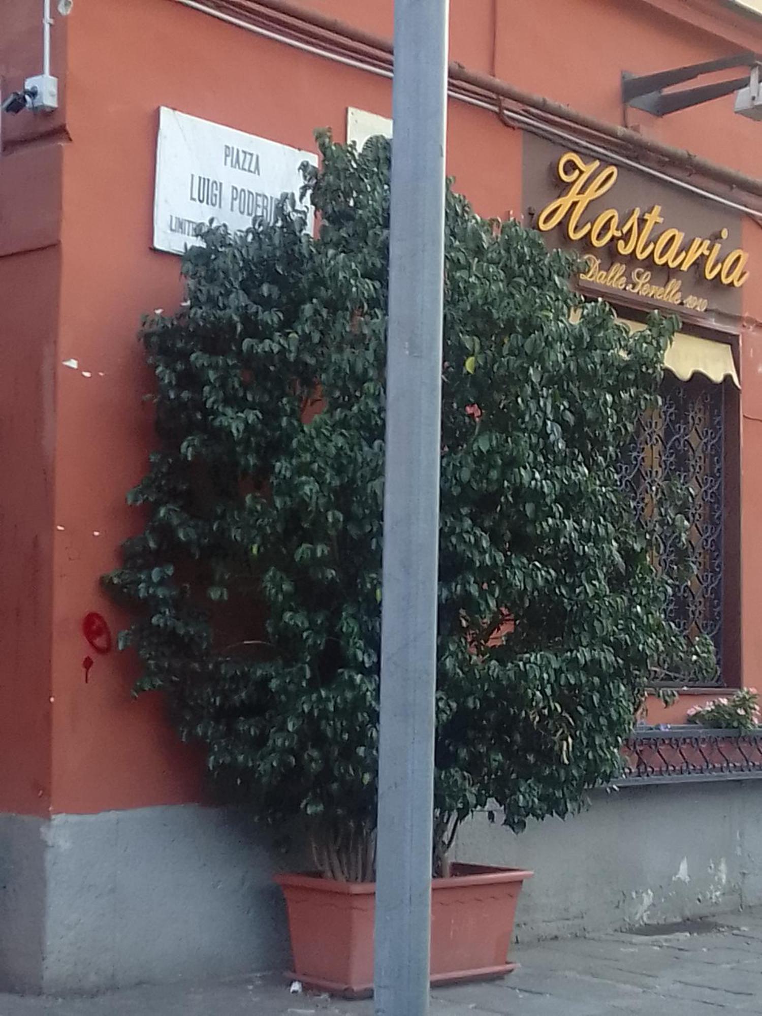 Hous'mery * Naples