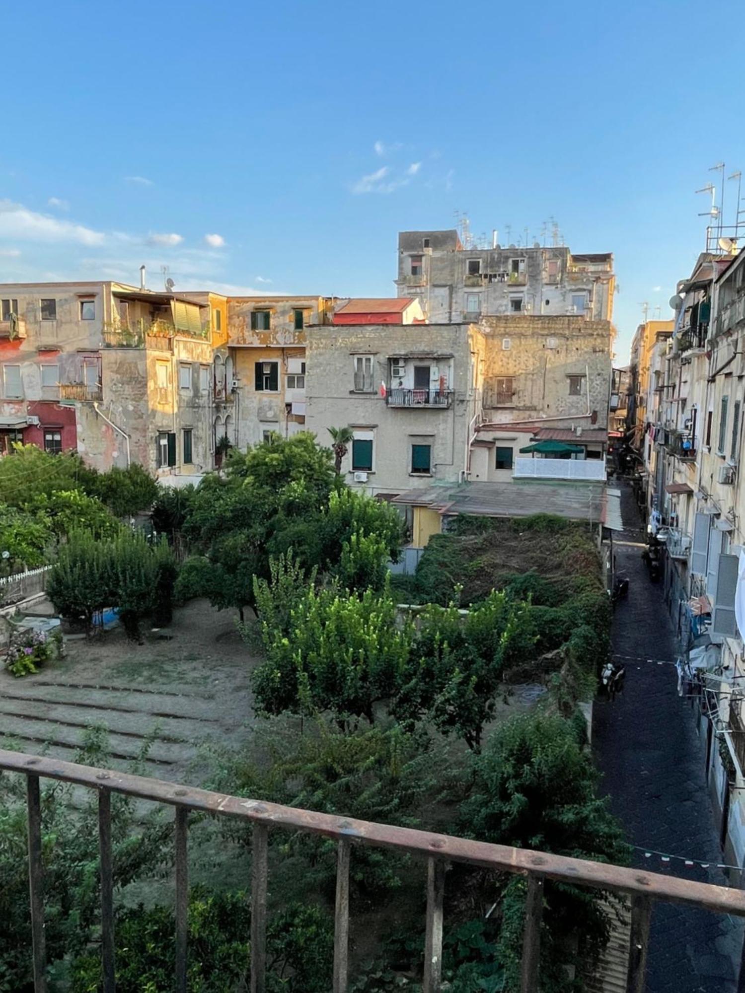 Reginella * Naples