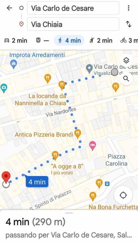 Traversa Toledo, Intero Al Plebiscito *
