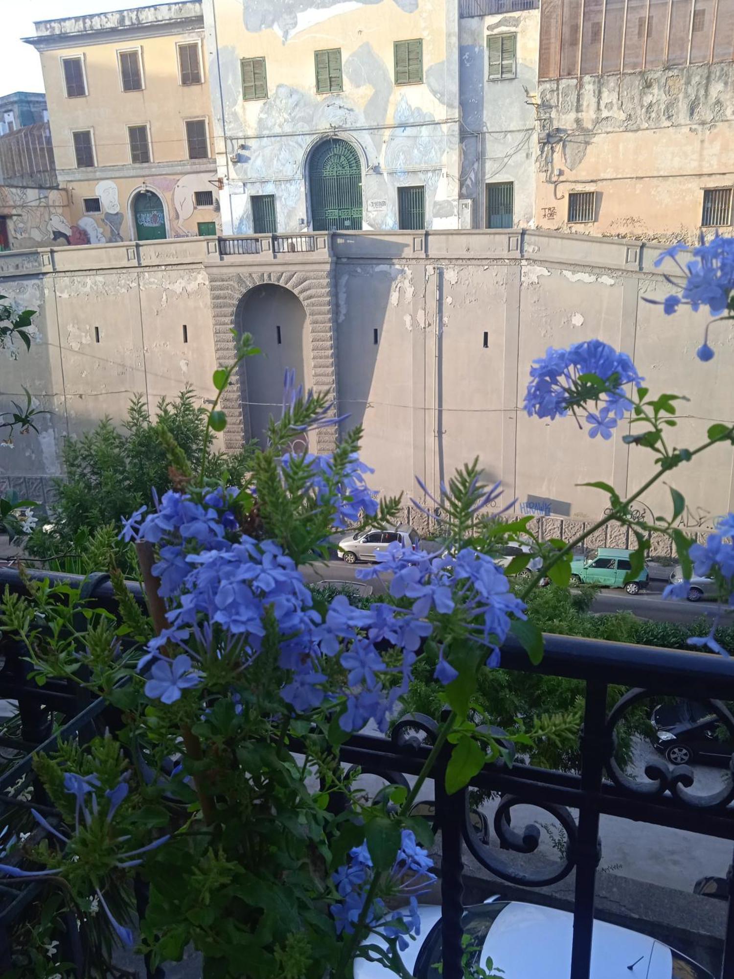 Guest house Well - Museo Naples