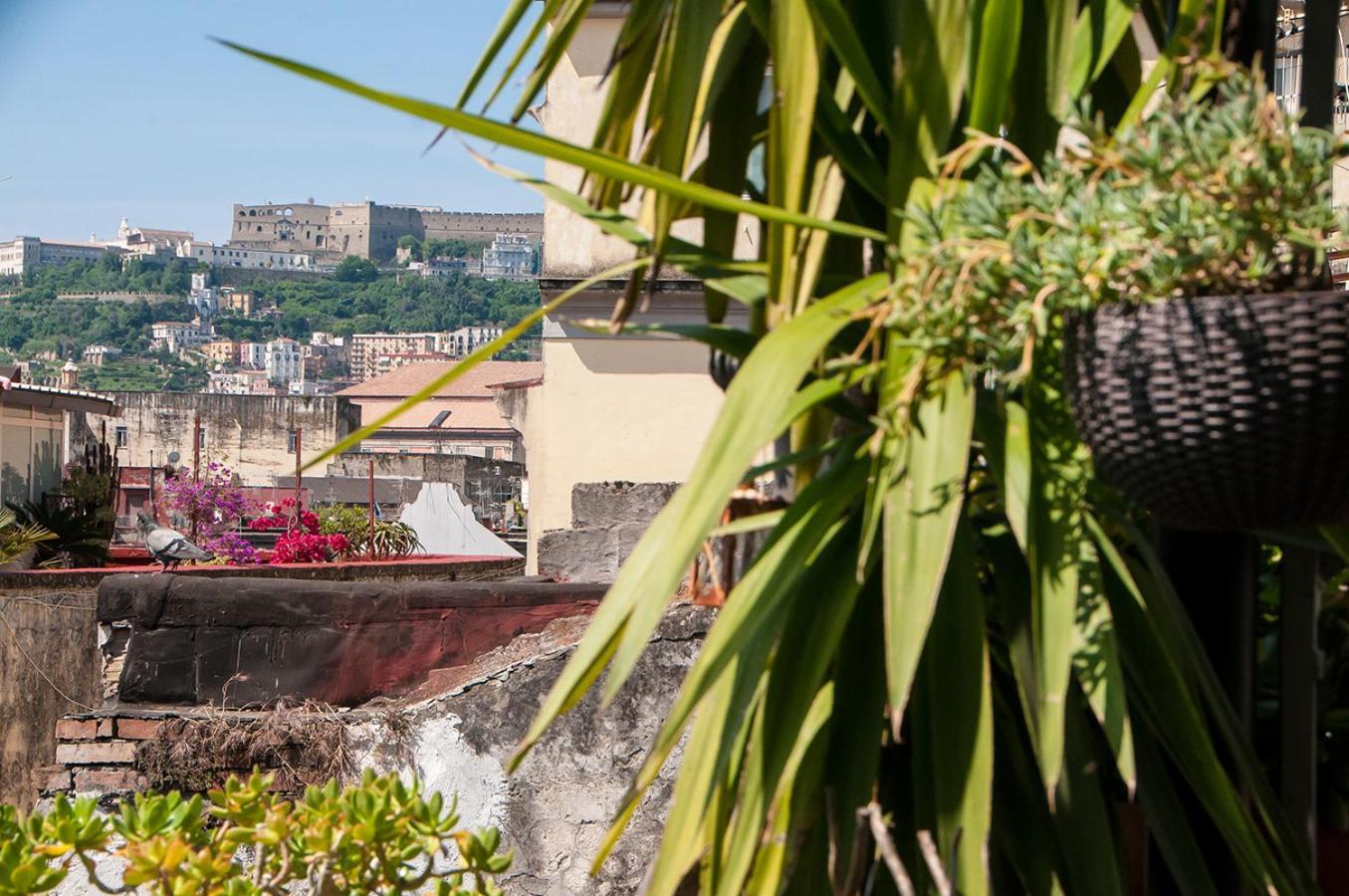 La Terrazza Ai Miracoli Bed & Breakfast *