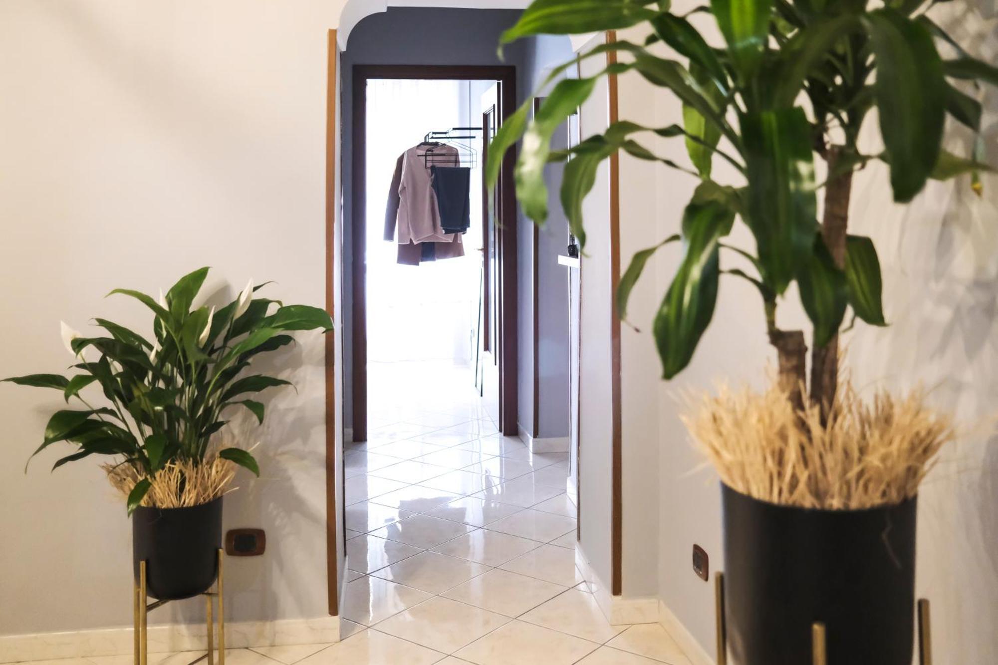 Apartment Serenity