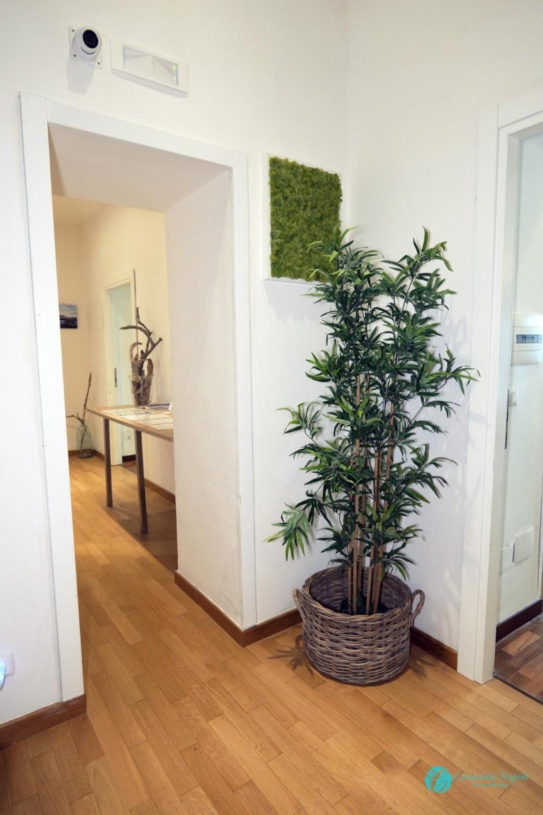 Bed & Breakfast Caracciolo Beb *