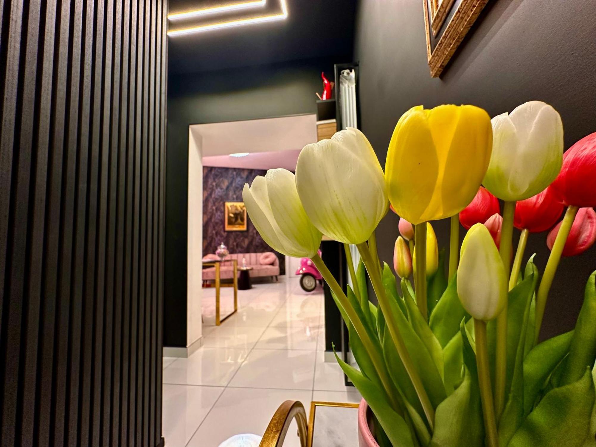 Elegance Spaccanapoli Bed & Breakfast