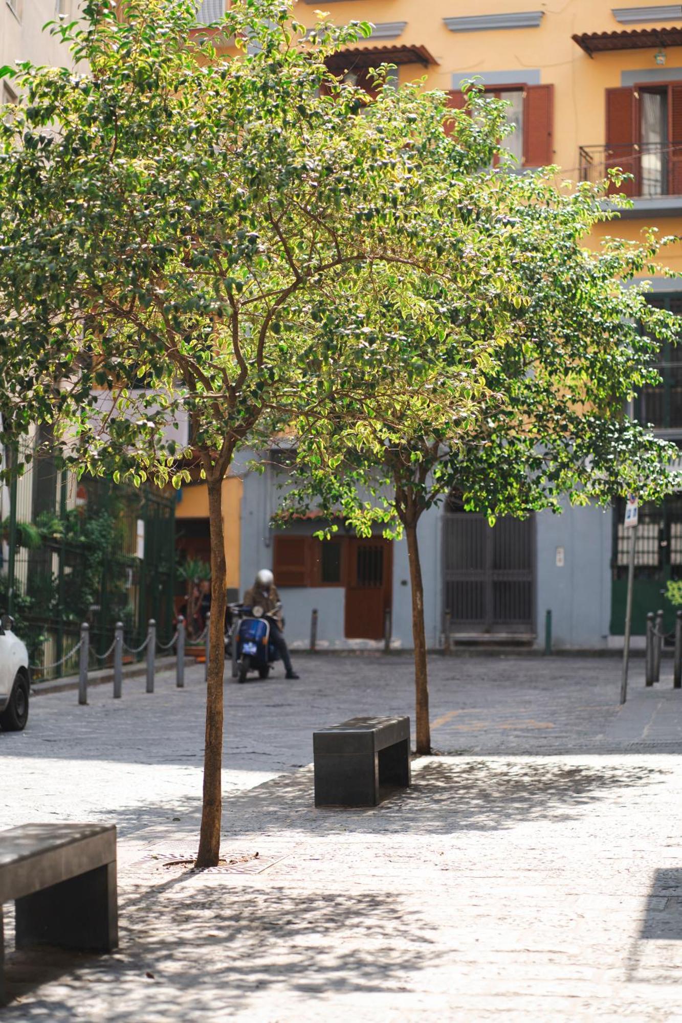 Napart Guest house Naples