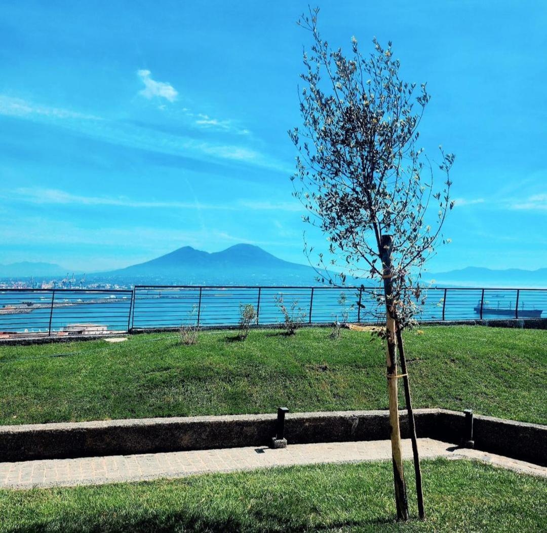 Apartment Mirella Naples