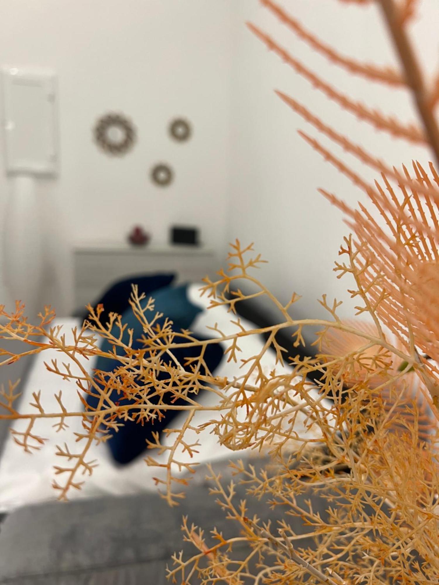 Apartment Che Casa *