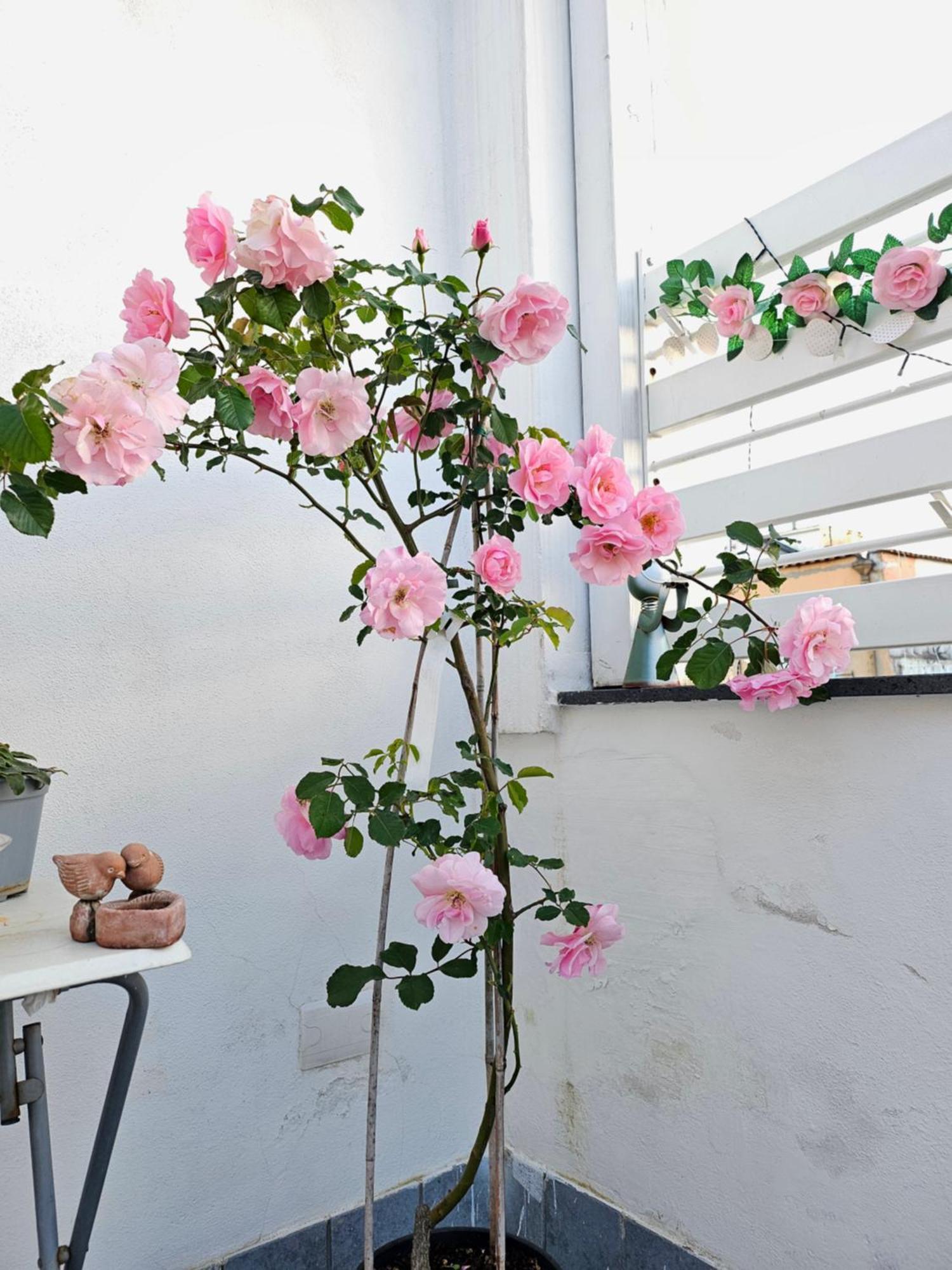 Sky-terrace In Central Station, 3 Bedrooms Naples