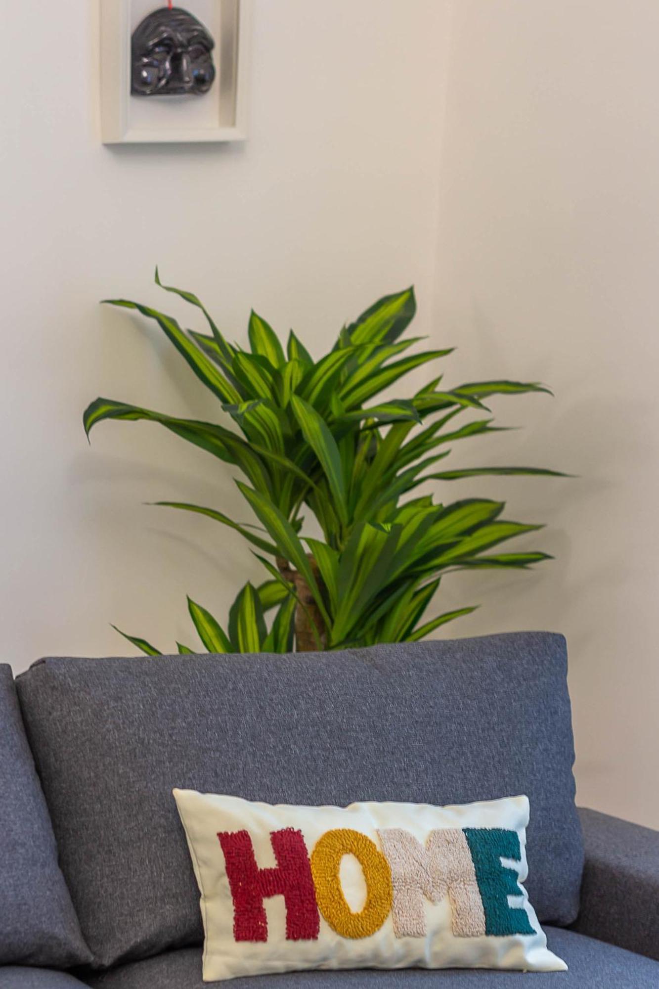 Apartment Vivaldo Spaccanapoli *