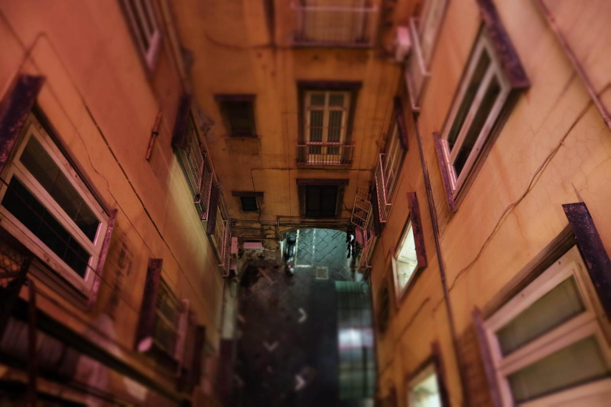 Jester Naples