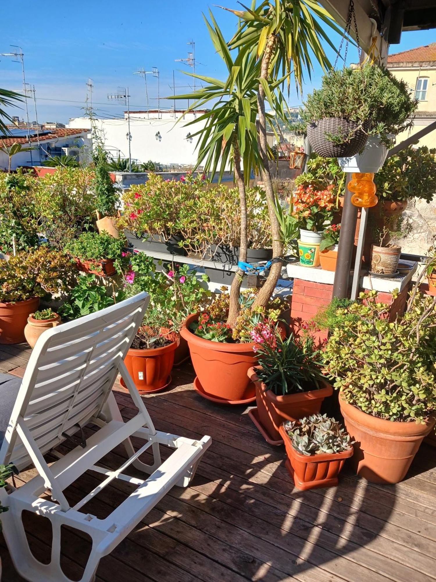 La Terrazza Ai Miracoli Bed & Breakfast *