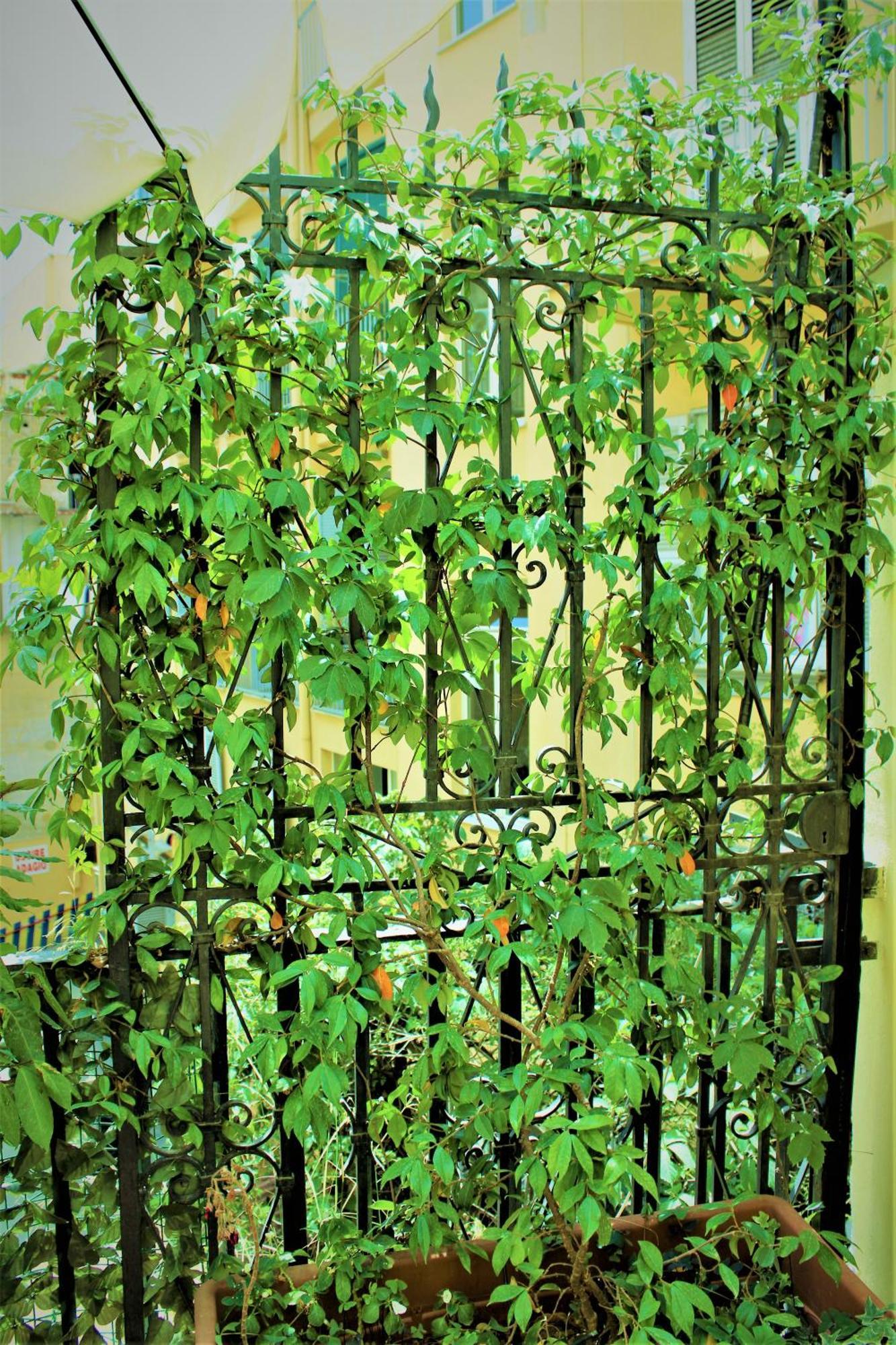 Di Affreschi E Volte Naples