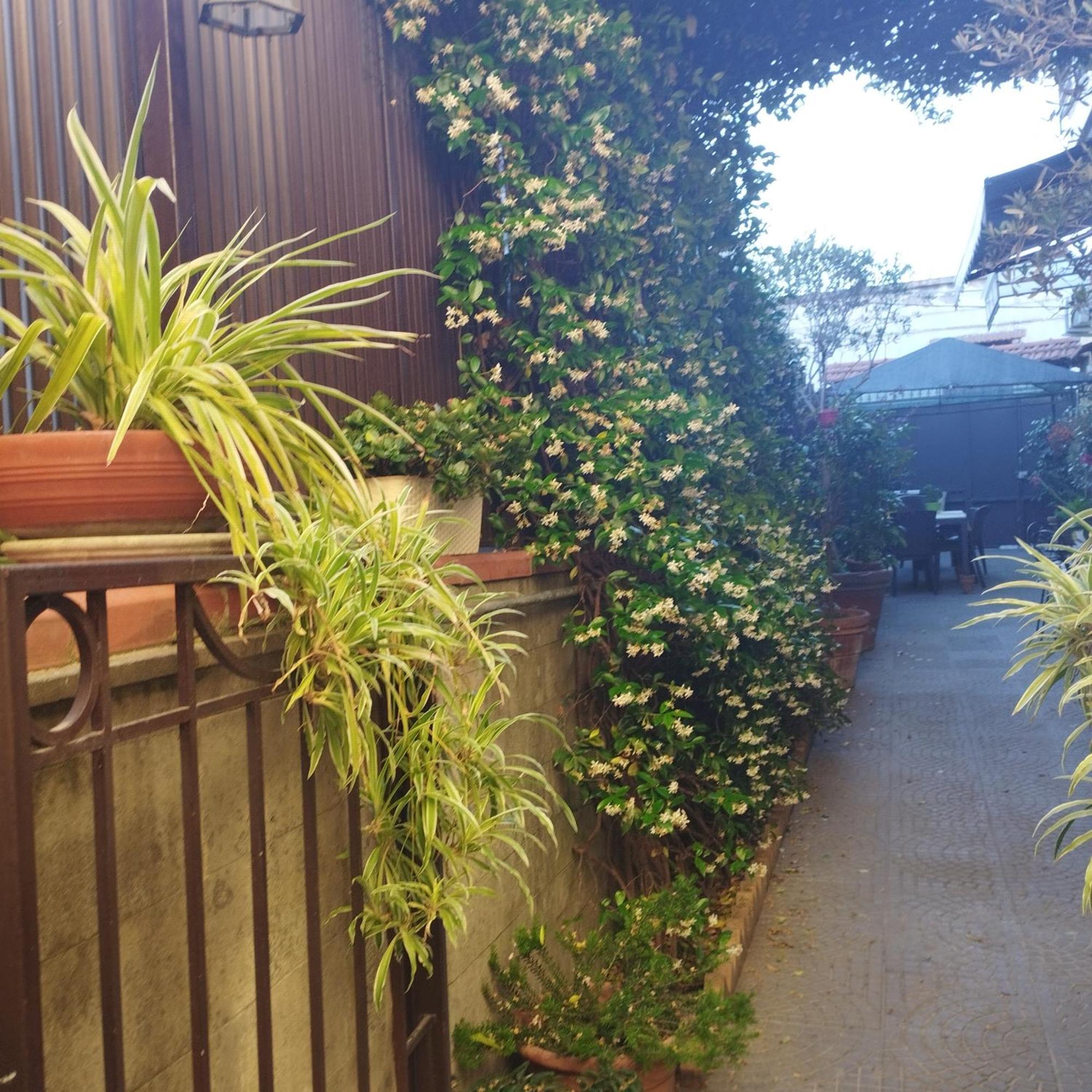 To Fly Guest house Naples