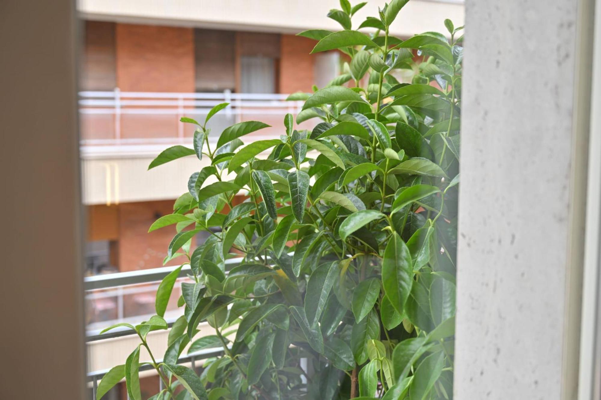 Guest house Ponte Di Tappia