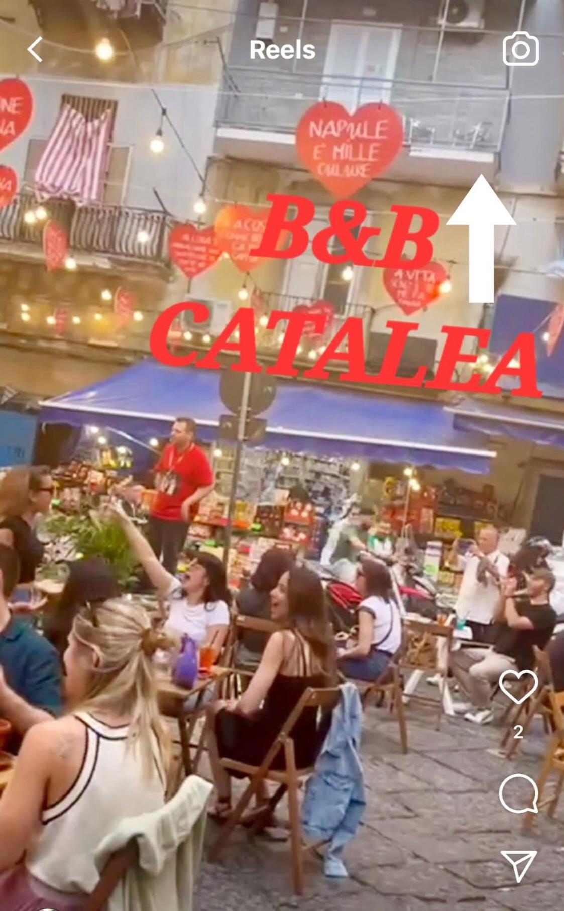 Catalea *