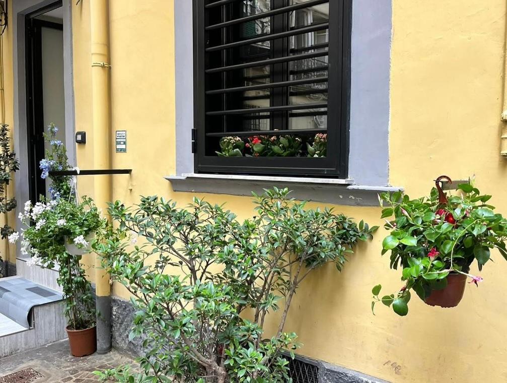 Bice Mergellina Loft Naples