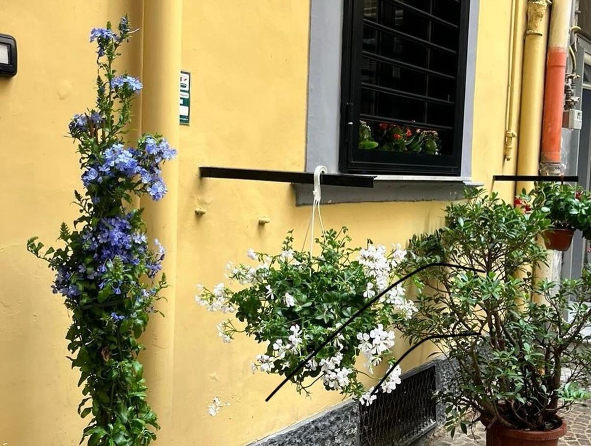 Bice Mergellina Loft * Naples