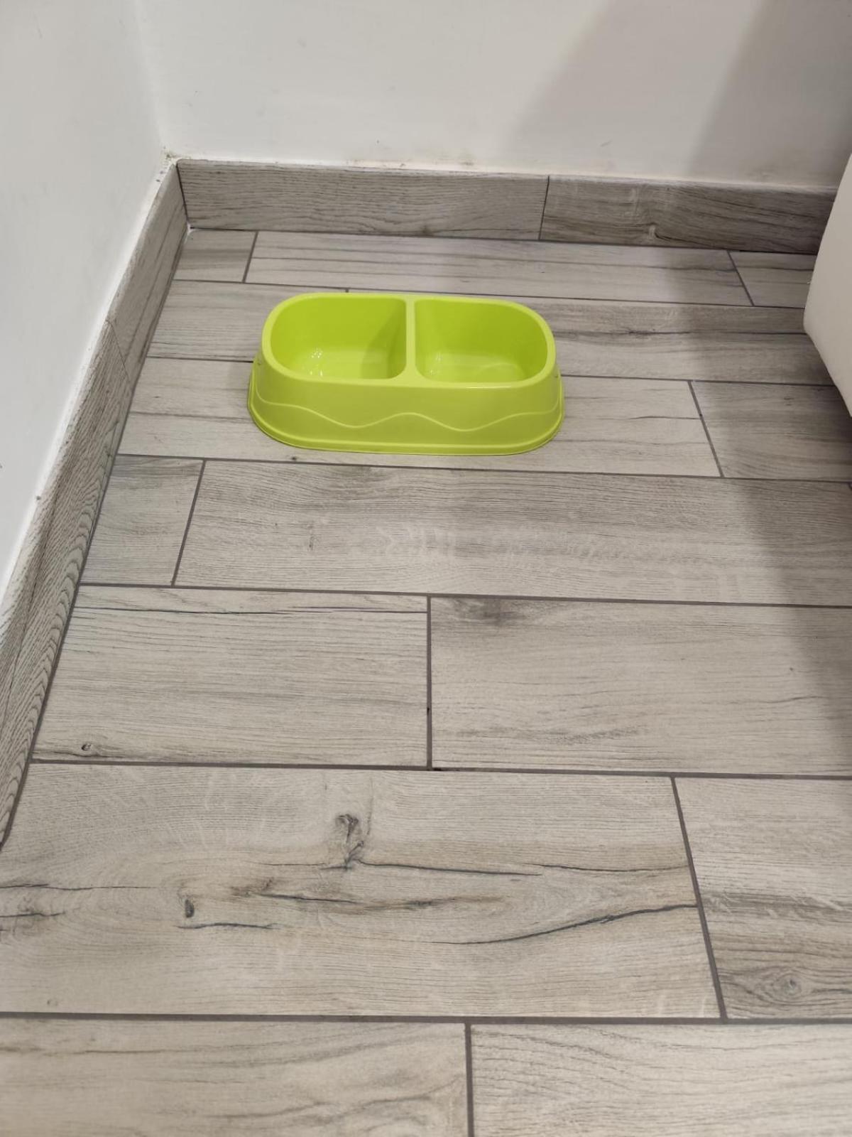 Domus Re Ferdinando Apartment *