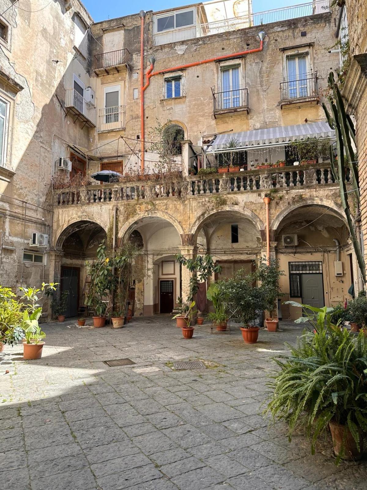 Vincent House Apartment