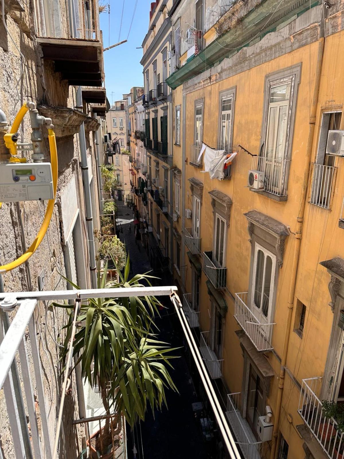 Vincent House Apartment Naples
