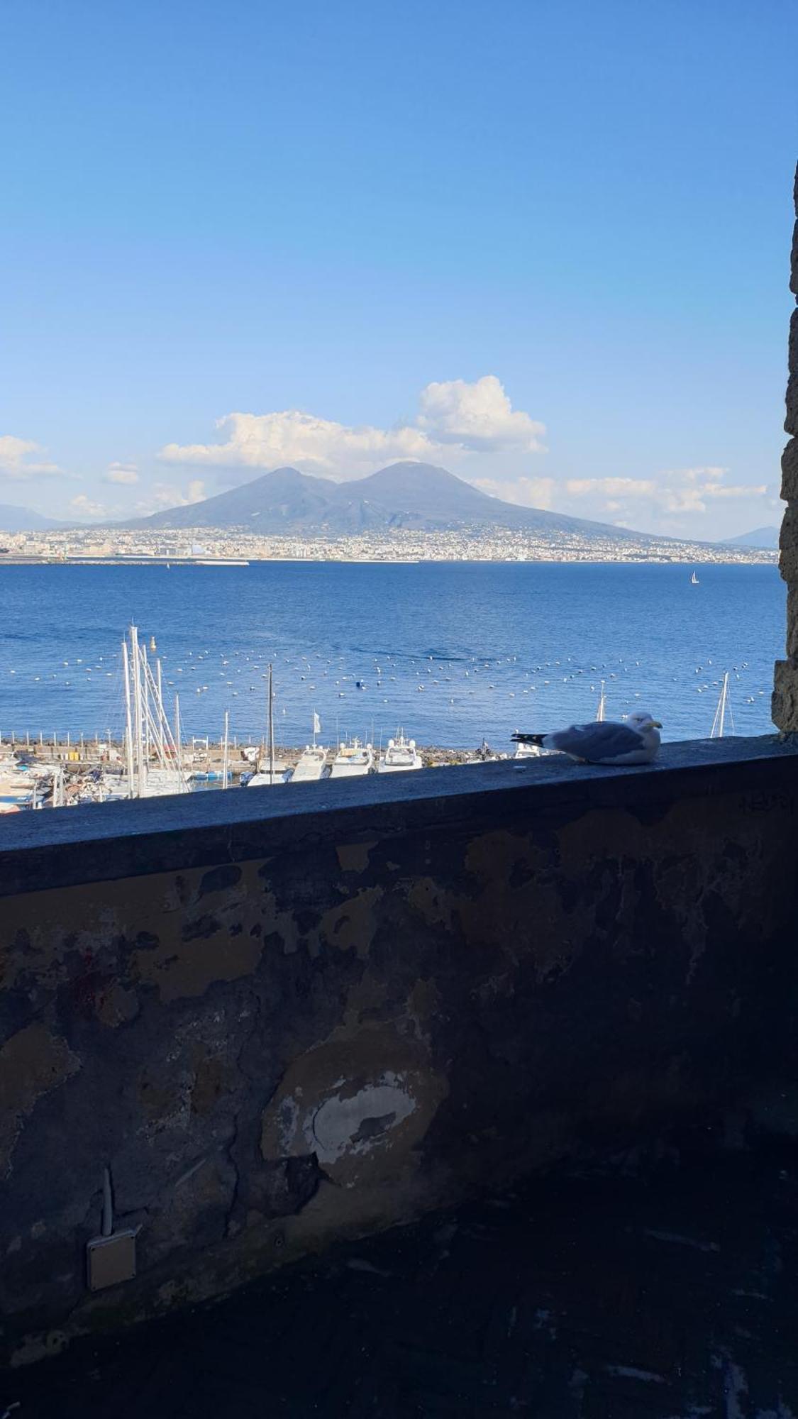 Apartment Lucullo's Naples