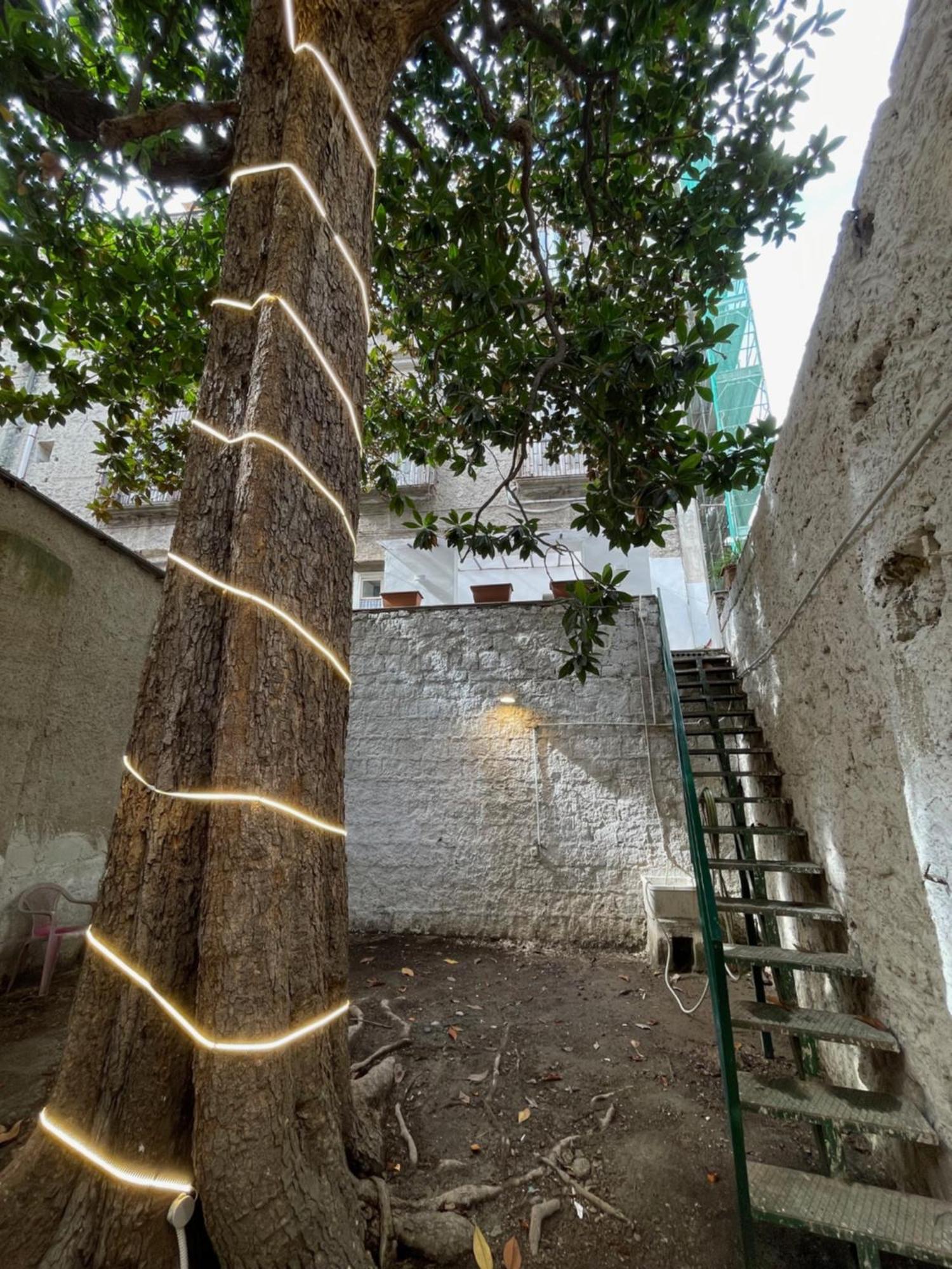 The Royal Gallery Loft In Xvi Century Palace - City Historical Center - Downtown Holiday home *