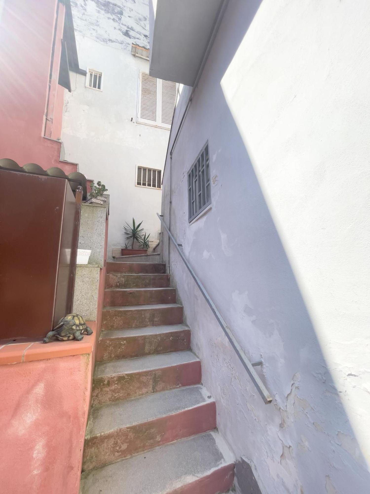Apartment Mulino *