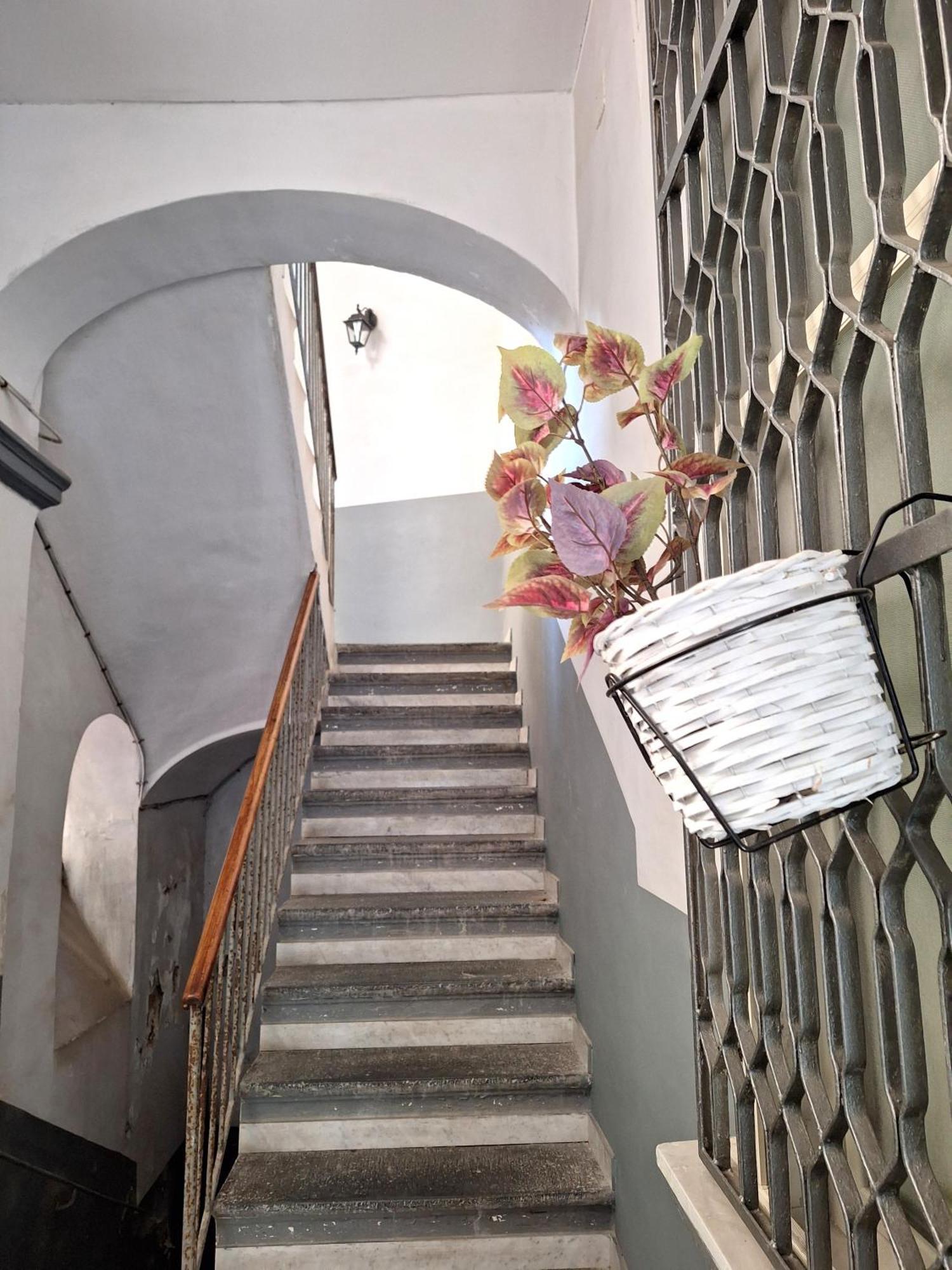 La Casa Di Luale E Zoe Homestay *