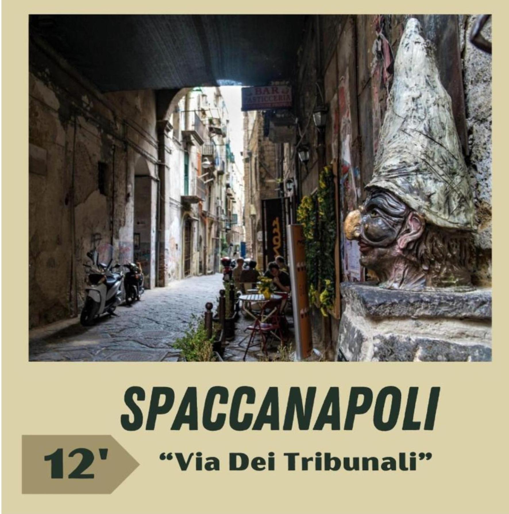 Apartment San Gennaro *