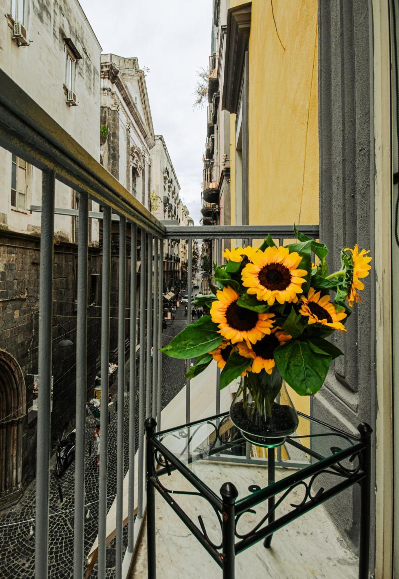 Centro, Dm Guest house Naples
