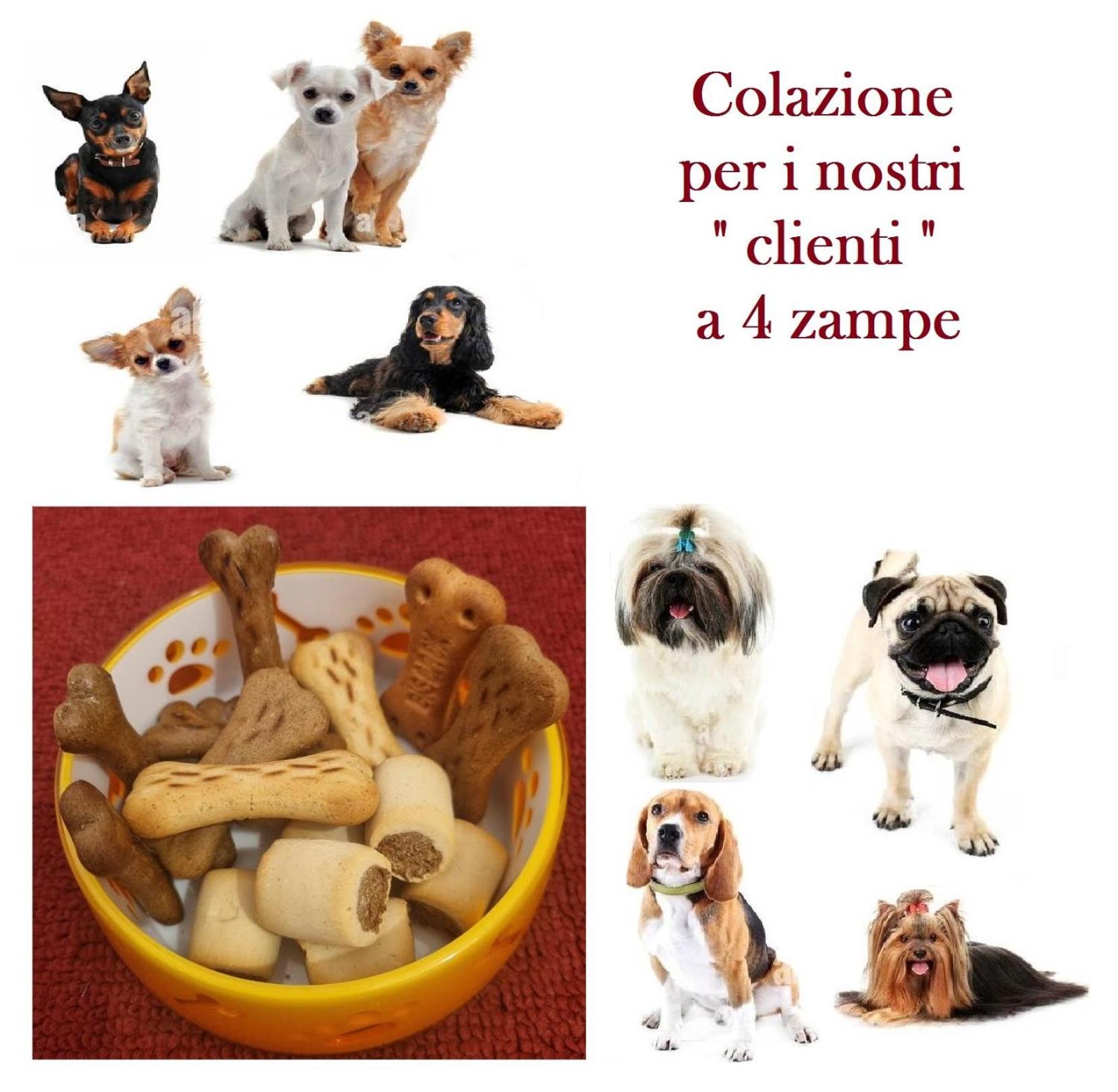 La Casetta Di Oppi Apartment *