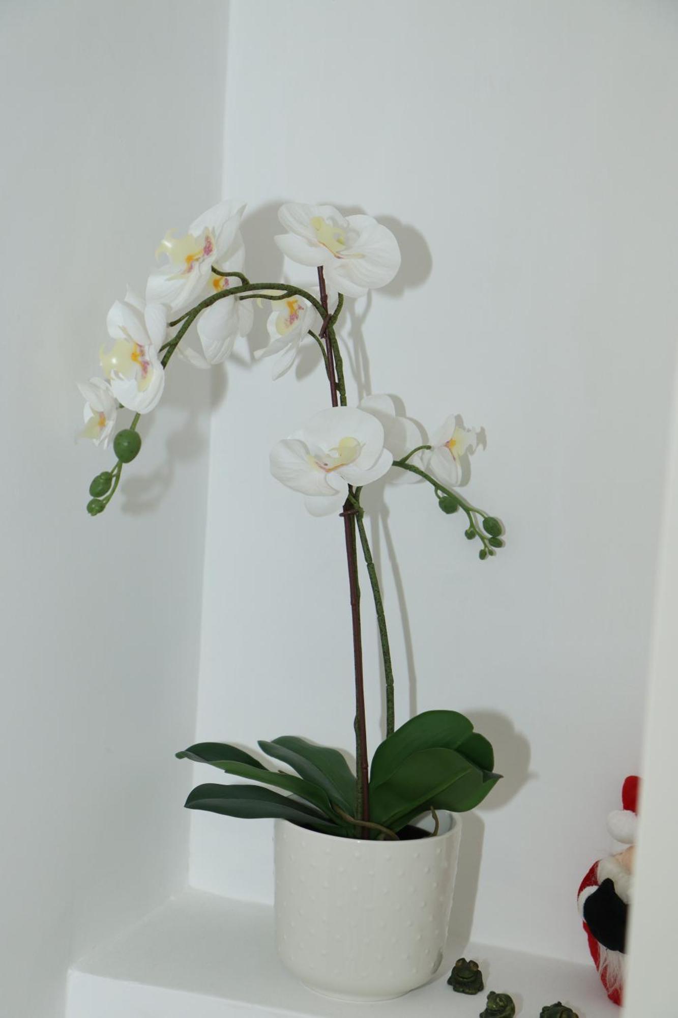 Guest house Dante & Serenella Naples