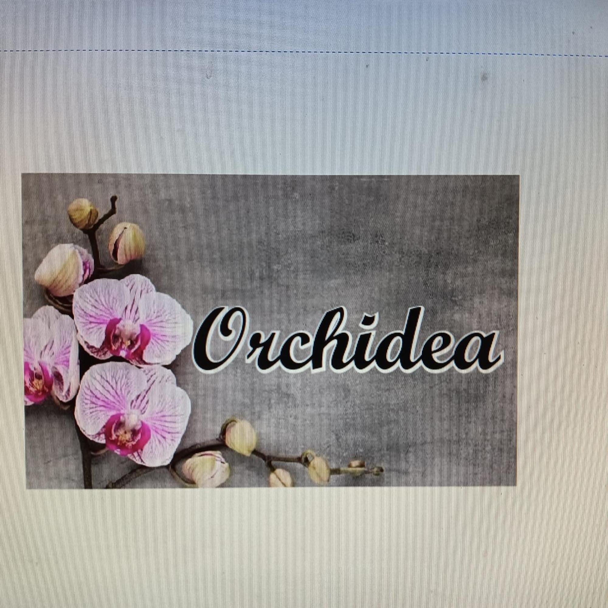 Orchidea Naples