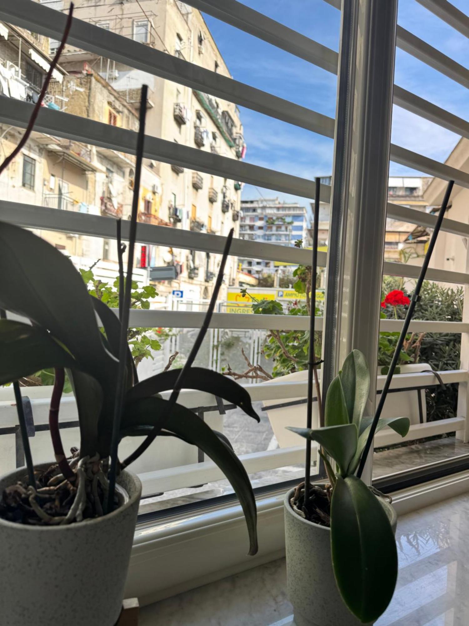 Cosmo 38 Luxury Apartment Naples