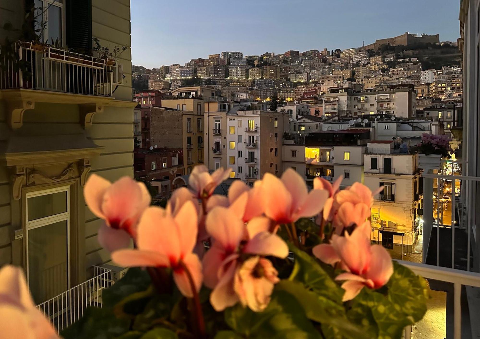 Insogno Guest house