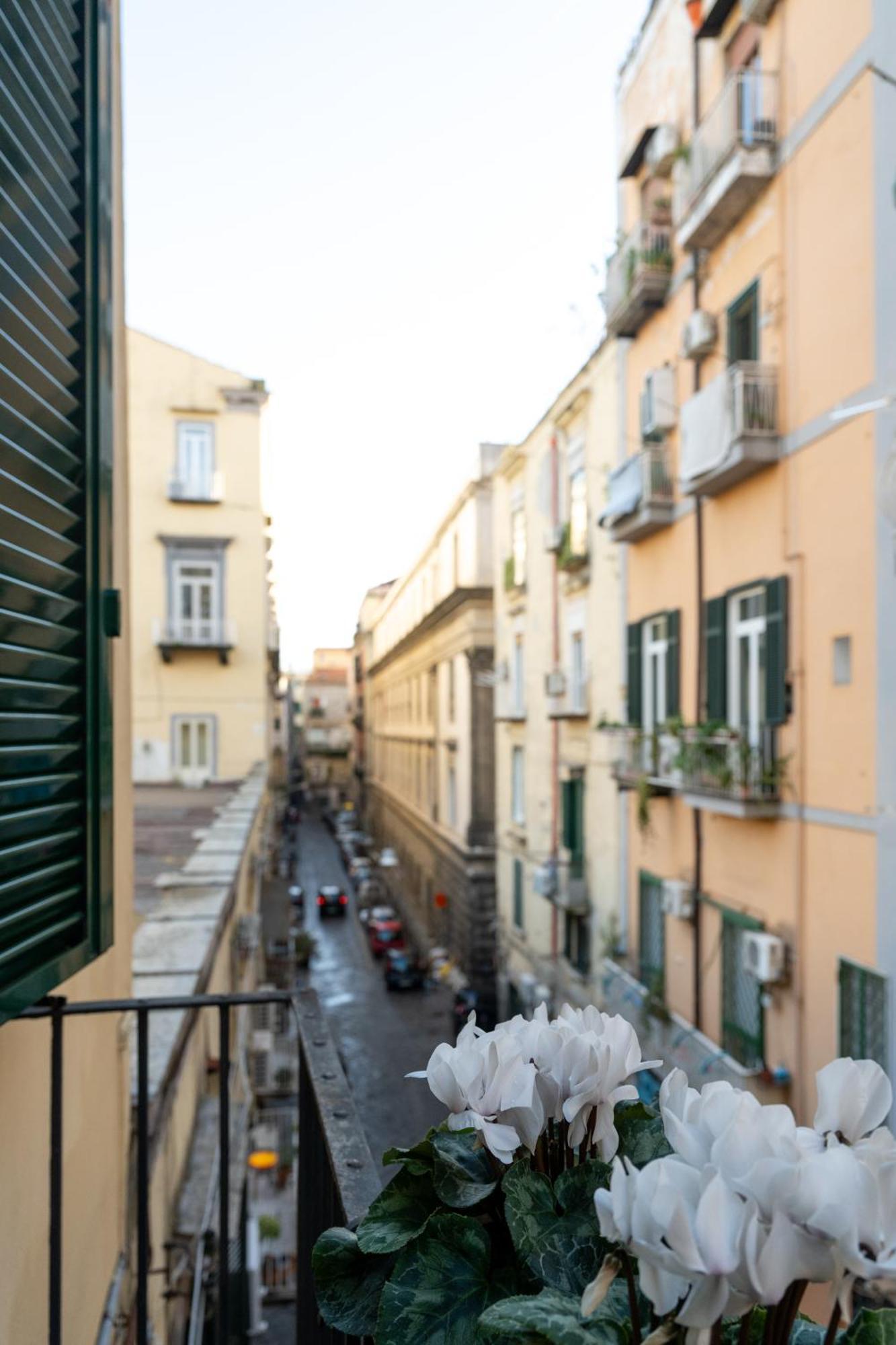 Madi * Naples