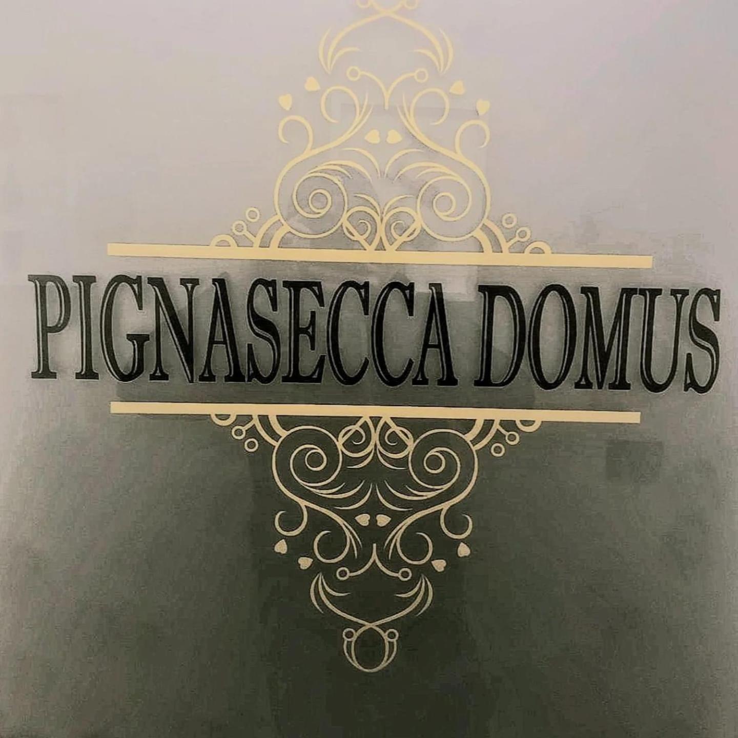 Guest house Pignasecca Domus *