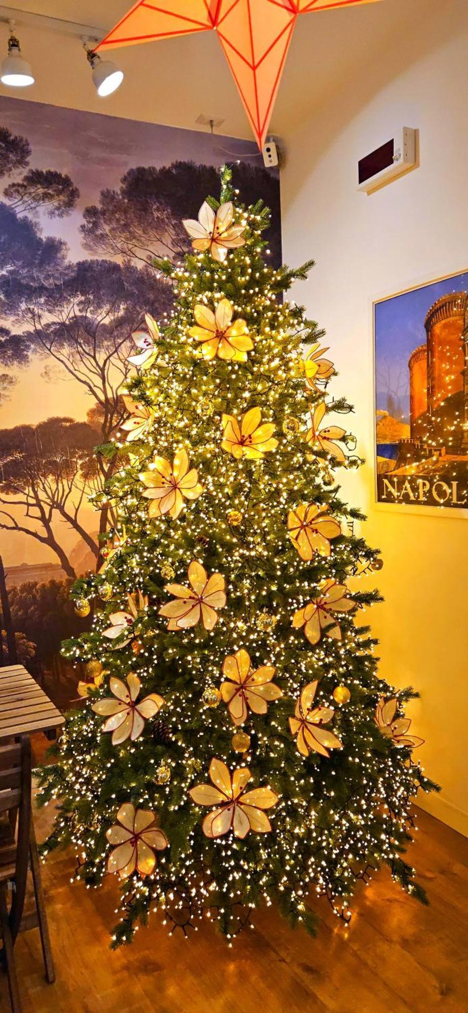 Tree - Lungomare Guest house Naples