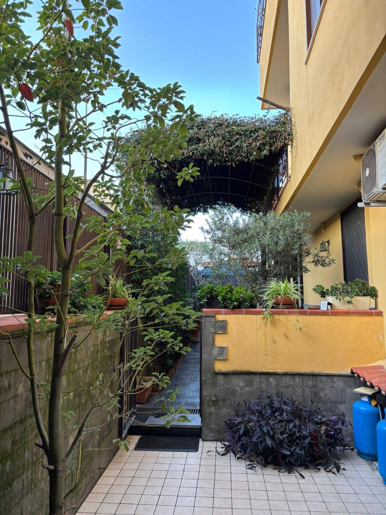 Guest house To Fly