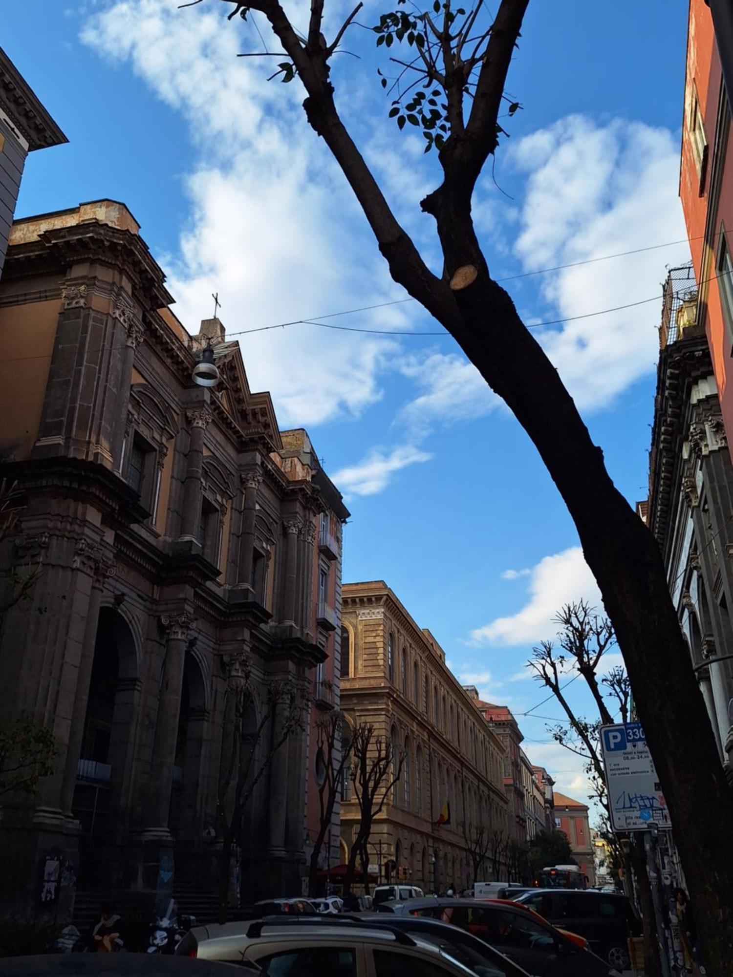 Museum 3* Naples