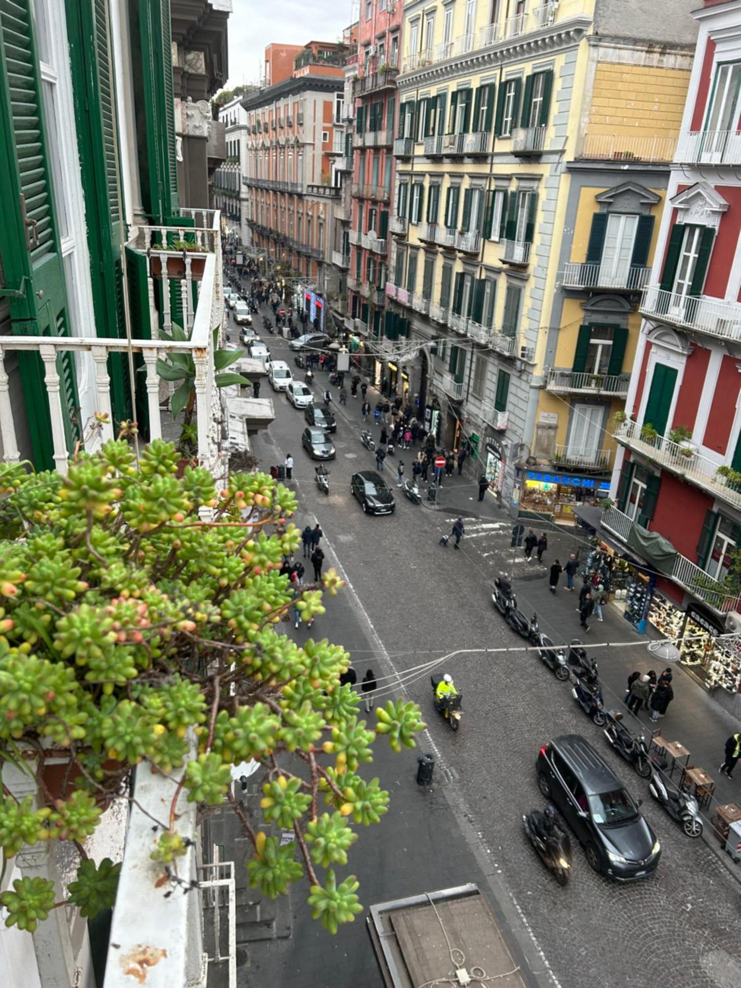 Bed & Breakfast Toledo's Family Naples