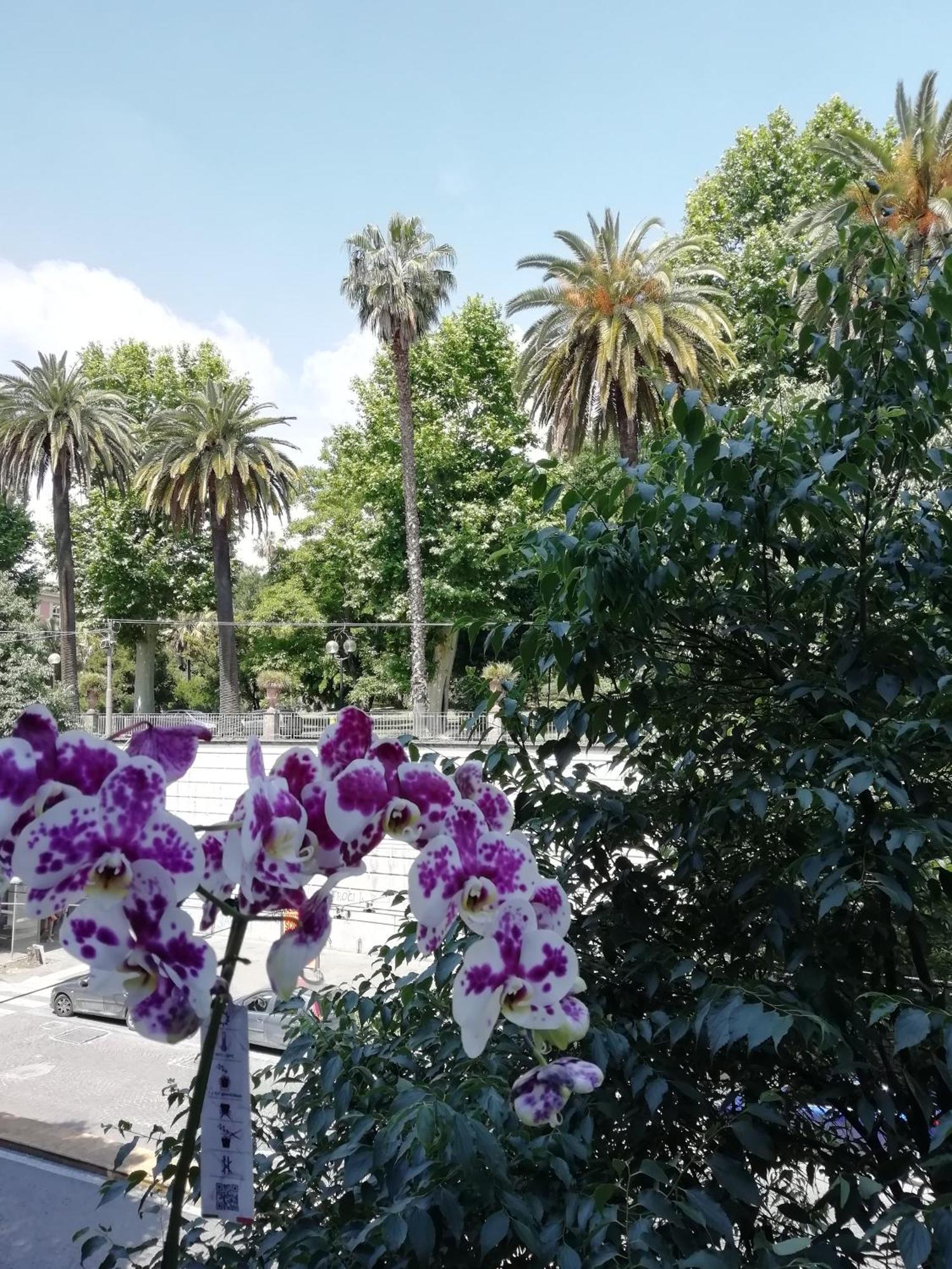Bed & Breakfast Botanic Charm
