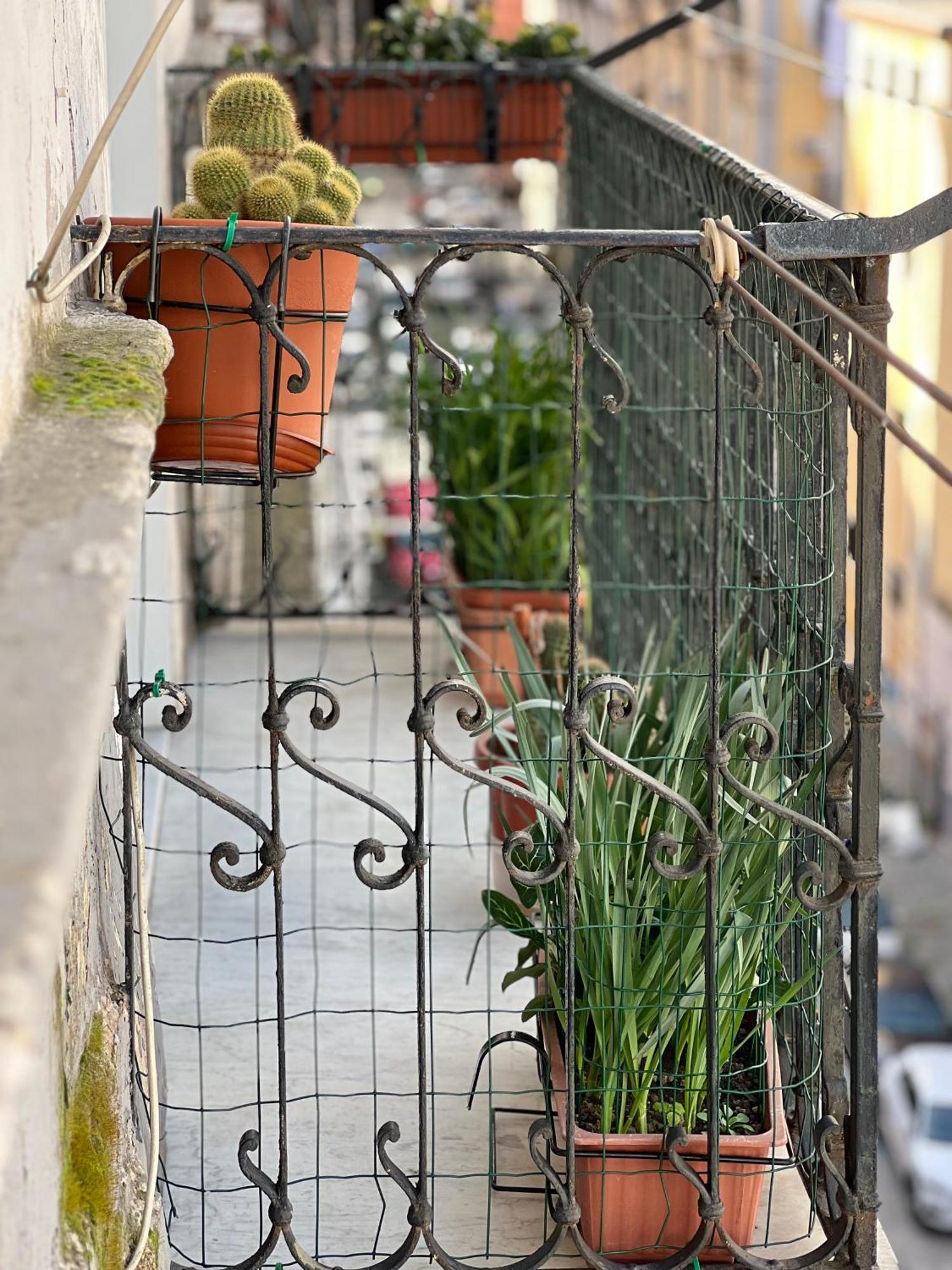 Bruno House Bed & Breakfast