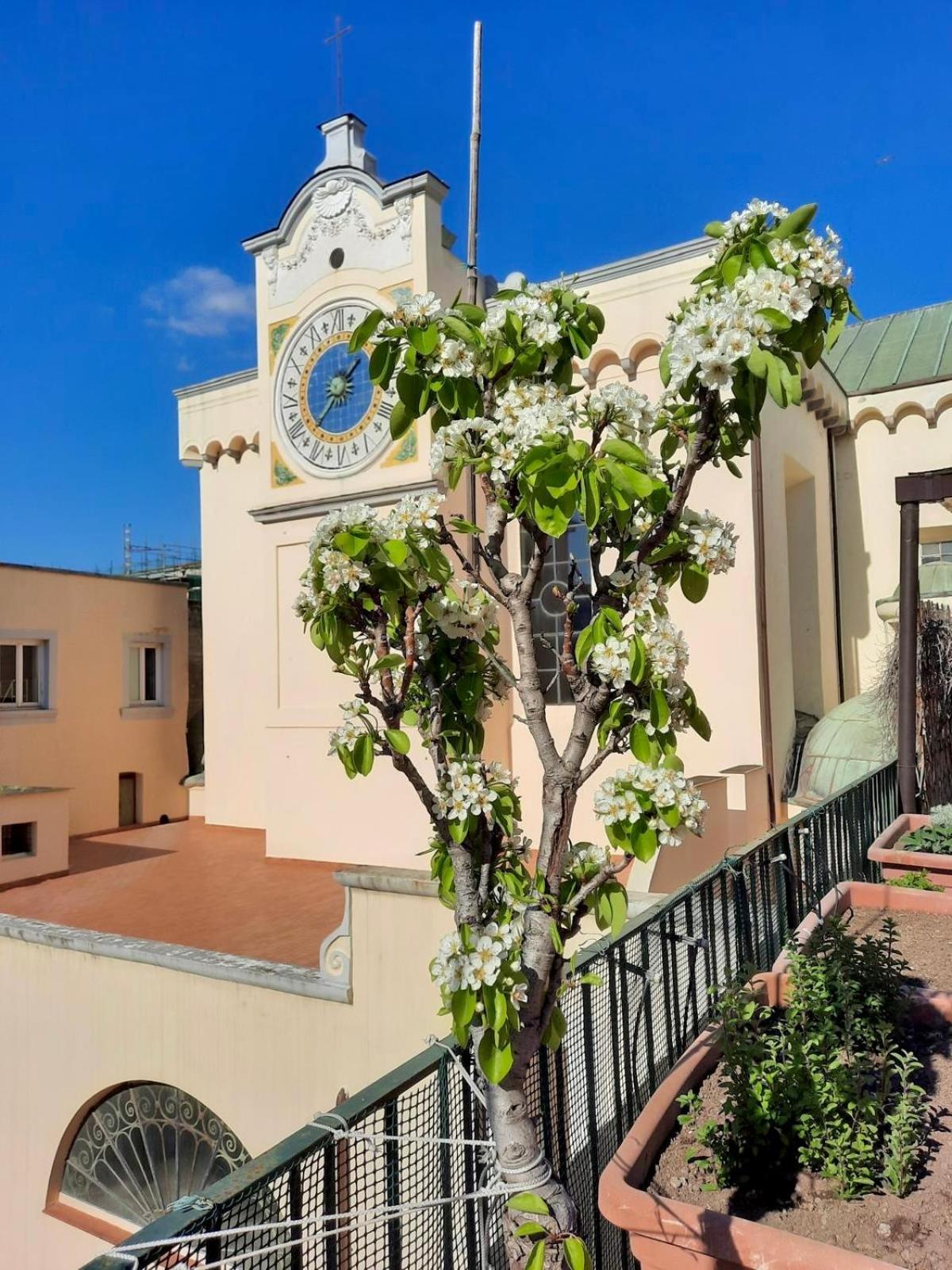 Bed & Breakfast Dimora Cortese Naples
