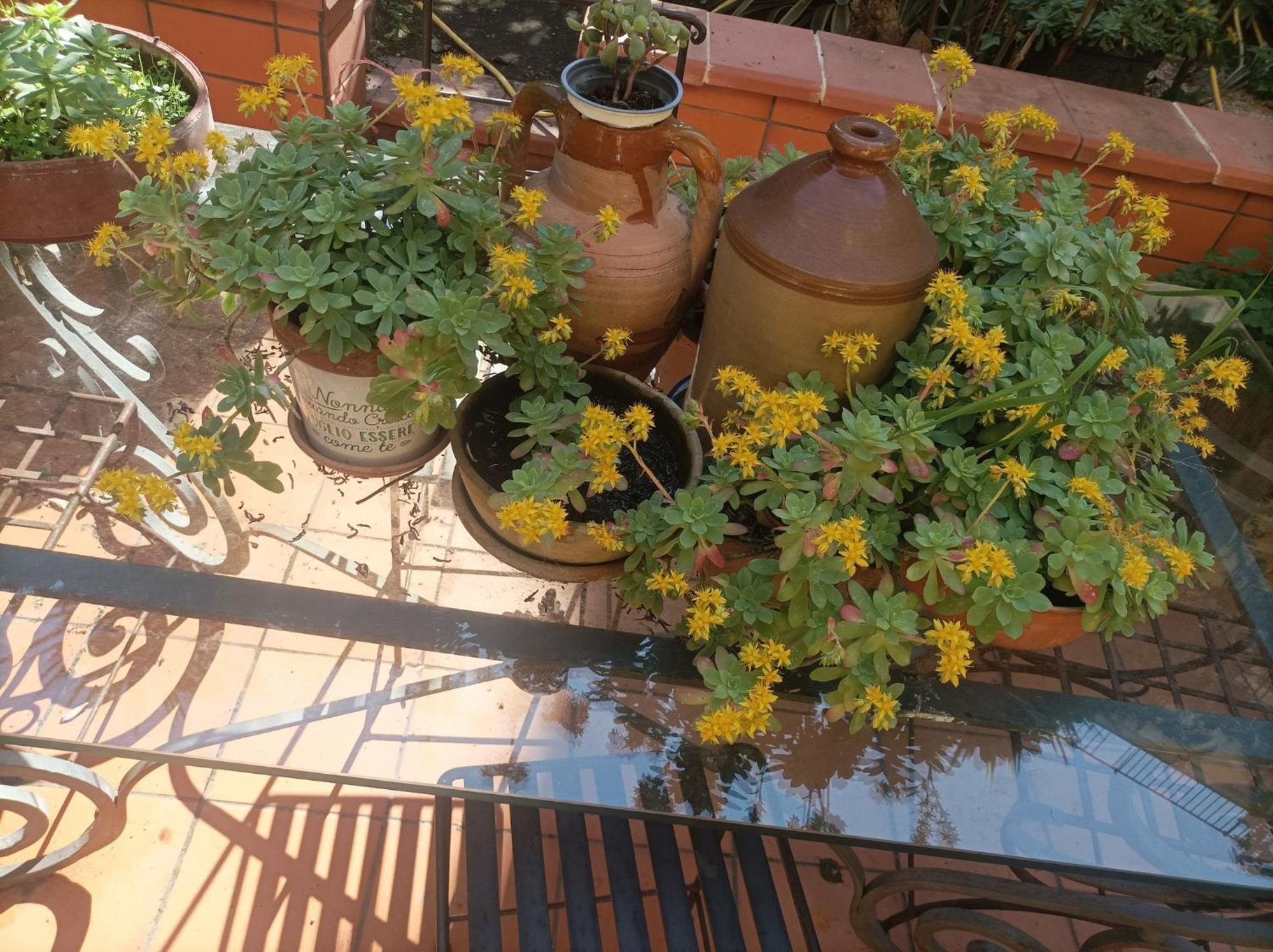 Il Giardino Nascosto * Naples