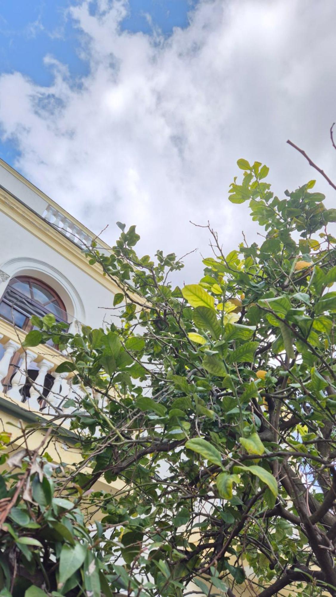 Relais Montedonzelli Bed & Breakfast Naples