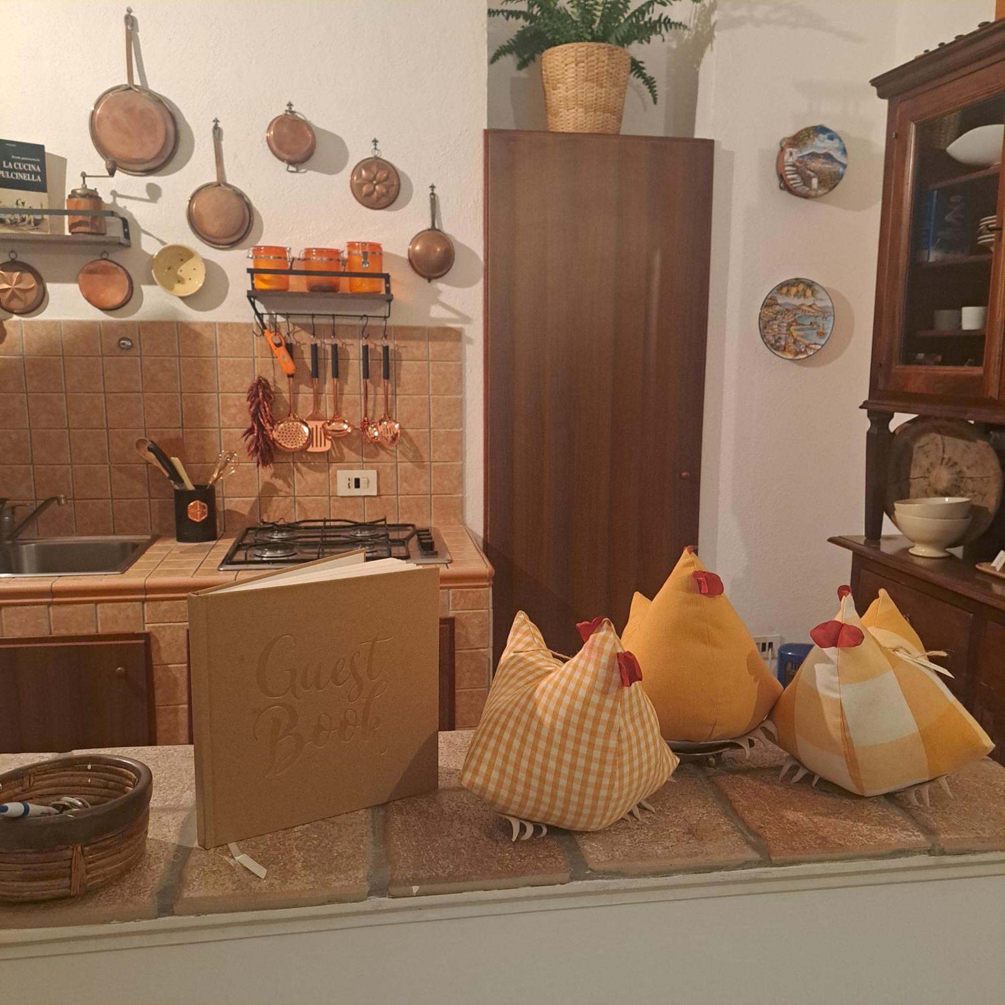 Casa Dodo *